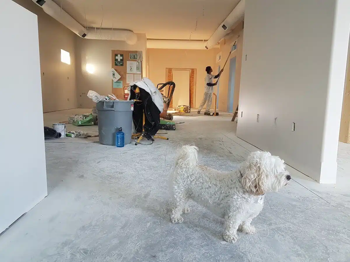 rénovation localisation