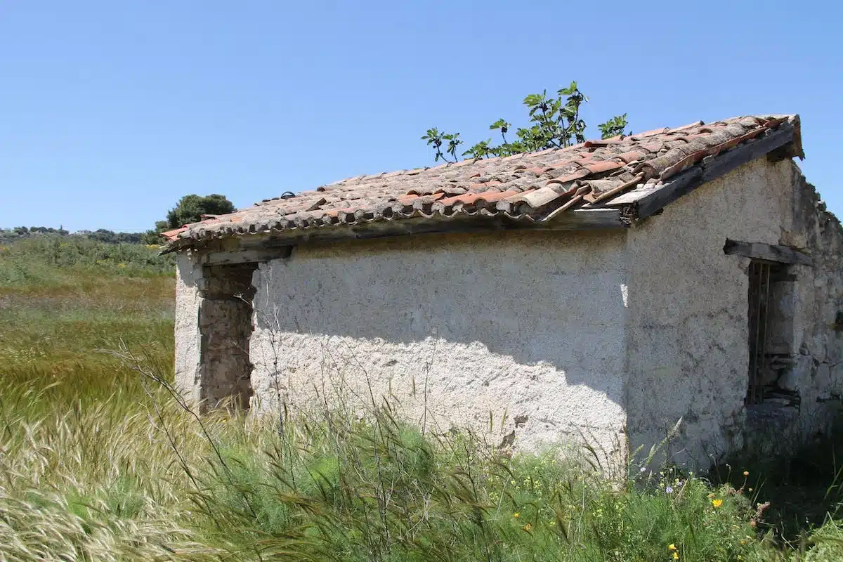 immobilier rural