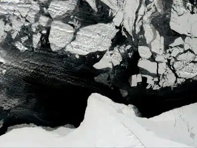 white and black abstract painting